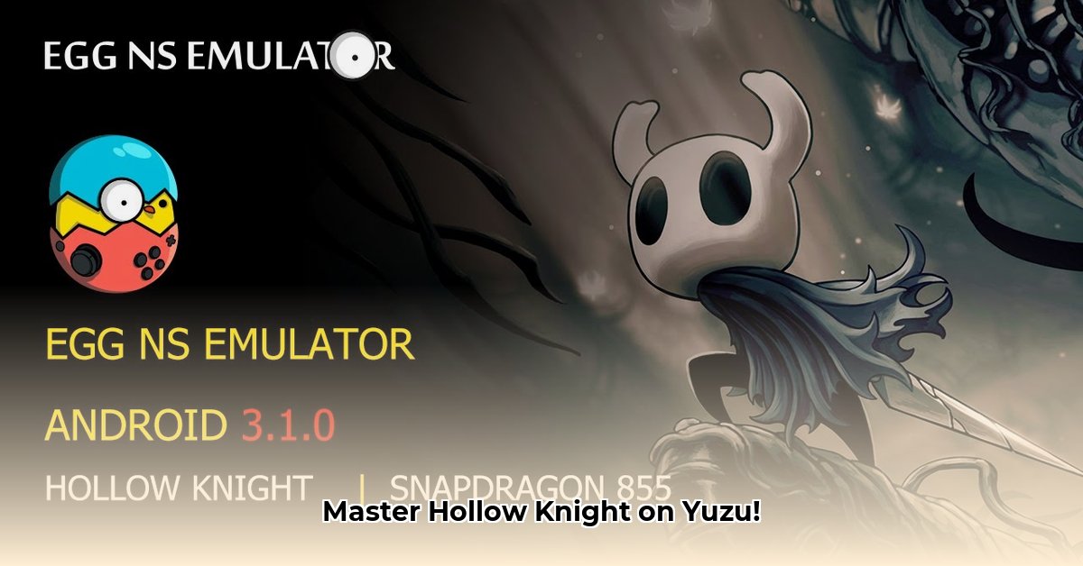 hollow-knight-emulator